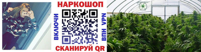 Купить наркотики цена Гатчина COCAIN  Меф мяу мяу  АМФ  Канабис 