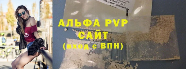 МДПВ Бородино