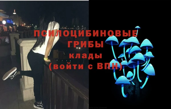 гидропоника Богородицк