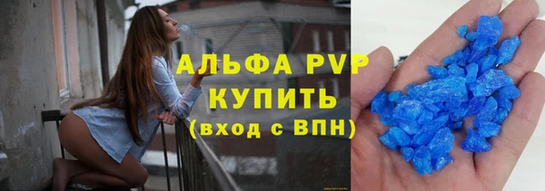 МДПВ Бородино