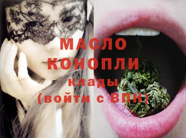 МДПВ Бородино