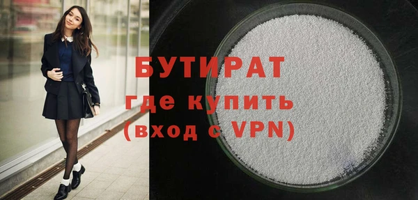 МДПВ Бородино