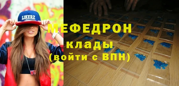 МДПВ Бородино