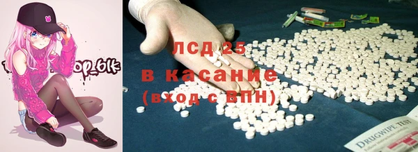 стаф Богданович