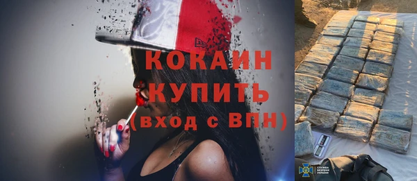 МДПВ Бородино
