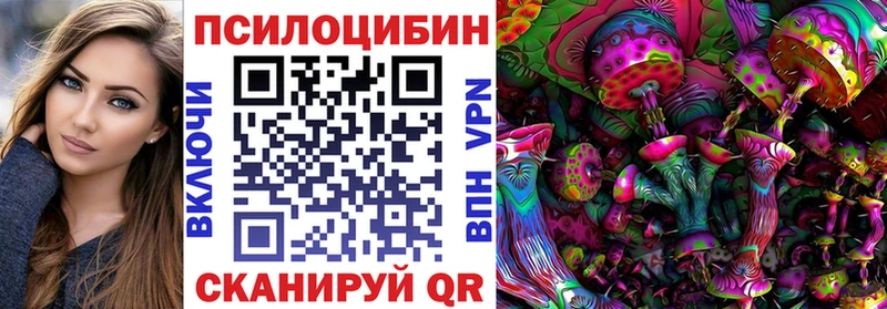 что такое ОМГ ОМГ рабочий сайт Псилоцибиновые грибы Psilocybe Гатчина